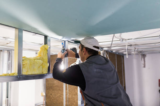 Best Residential Insulation in Lugoff, SC